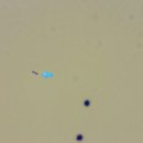 서수원동물병원 이미지