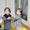 키즈비