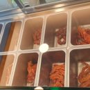 소위오리목 이미지