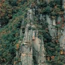 느티나무집민박 이미지