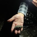 곰섬올레 이미지