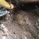 우후농장 이미지