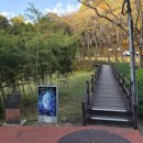 하모 인 진주 이미지