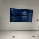 모터라이프 | 현대모터스튜디오 고양 아웃도어 라이프_차콕 후기