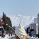 한솔도시락 앞 횡단보도 | 삿포로 비에이 내돈내산 흰그림자 투어 준페이 준도그, 날씨, 코디 추천 인생샷 후기