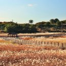 영남D주택 이미지