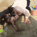 굼벵이캠핑농원 이미지