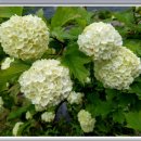 오월에민박 이미지