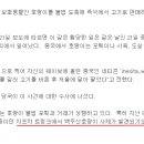 고기호랑이 이미지