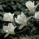 하우스 오브 갤러리 이미지