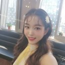 박성연 카카오 검색결과