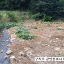 참다운부동산공인중개사사무소 이미지