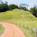 연산동고분군 이미지