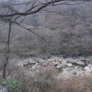 지리산흑돼지촌마을