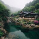 커피아날로그봉화점 | 국내 숨은 여행지 추천 리스트✨
