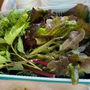 부민생선구이와쌈 이미지