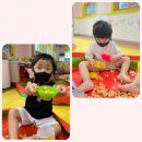 피노키오유아스쿨어린이집 이미지