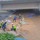 진상제방 이미지