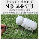 고운아이안경 이미지