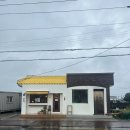 [제주맛집]튀김이 정말로 맛있는 김녕 빗소리 방문후기