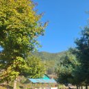 배론농장 이미지