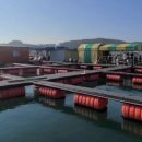 킹콩좌대 이미지