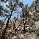 한국통닭 이미지