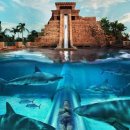 바하마