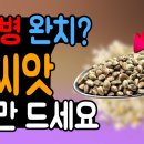 당뇨 극복에 이 씨앗이 답입니다! 혈당 낮추는 당뇨 추천 씨앗, 지금 바로 확인하세요. 이미지
