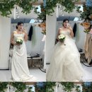 W7. 촬영드레스 고르기 셀프웨딩홈 드레스 상세후기