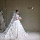 대덕대로-4 | W.diary_드에르웨딩 본식드레스 피팅 및 셀렉 후기(f.팔레드오페라)