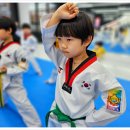 경희대 품태권도장 이미지