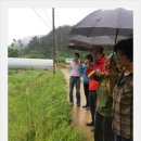 다시농장 이미지