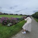 [28박 30일 유럽여행] 🇩🇪 DAY 15-16 얼어죽을 뮌헨🥶