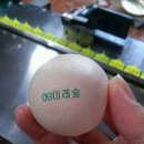 미래건강원 - 의정부시 호암로 151-1 | 미래건강원