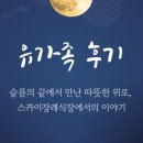 주식회사 스카이경제티비