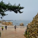 주전월남정화장실 이미지