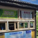 도림사계곡 | 곡성 여행 가볼만한 곳 도림사 계곡 뚜벅이 여행 후기