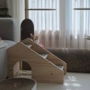 멍이펫 | 강아지 고양이 계단 펫스텝 멍해묘해 리얼후기