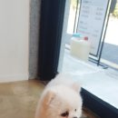 어울림미장원 네이버블로그