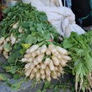 토지장터 이미지