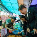 빚탕감은 보수진보 가릴거 없이 다 있었습니다 이미지