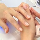 네일로빛 이미지