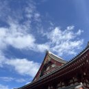 하루의 찬 | 도쿄 여행 일정 꽉찬 하루 코스 후기(+맛집, 야경)