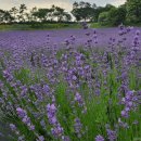 학정가든 이미지