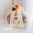 서울 부모님 첫인사 선물 화일청과 서초점 과일 꽃 박스 내돈내산 후기