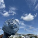 뉴멜론노래연습장 | 생애 첫 콘서트 세븐틴 뉴 콘서트 다녀옴:) 콘서트 가기 전 꿀팁!!
