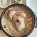 3901 | 양재역 점심 맛집 지호한방삼계탕 양재역점 들깨삼계탕 &amp; 흑마늘한방삼계탕 솔직 후기