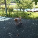 양산호수공원 이미지