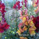 선산대로10-10 이미지